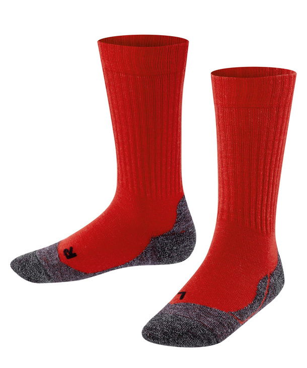 Verandert in Augment avontuur Ankle Socks Active Warm (Blue) | FALKE