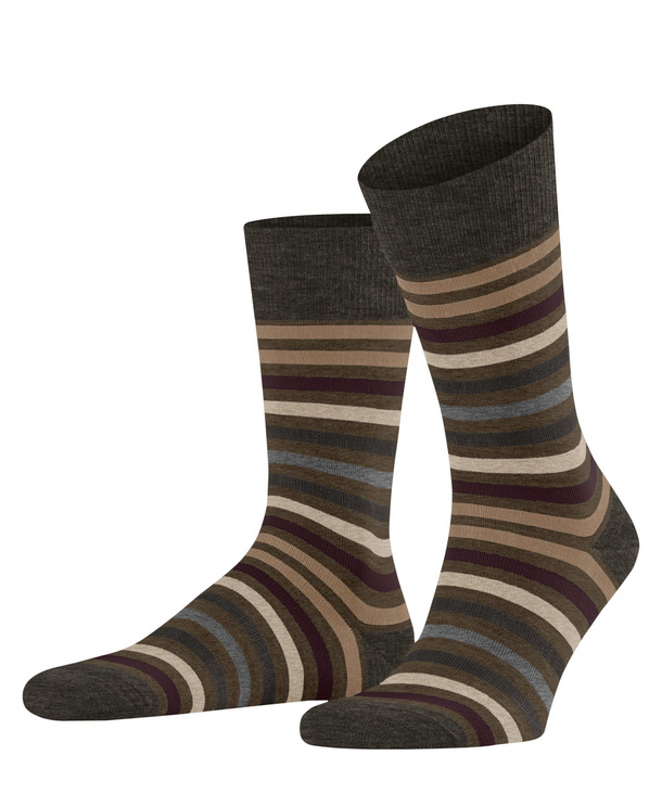Tinted Stripe Men Socks (Green) | FALKE