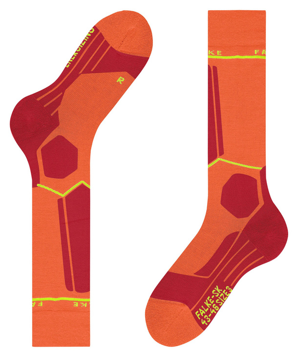 Falke SK5 Expert - Chaussettes En Laine Mérinos Homme | Hardloop