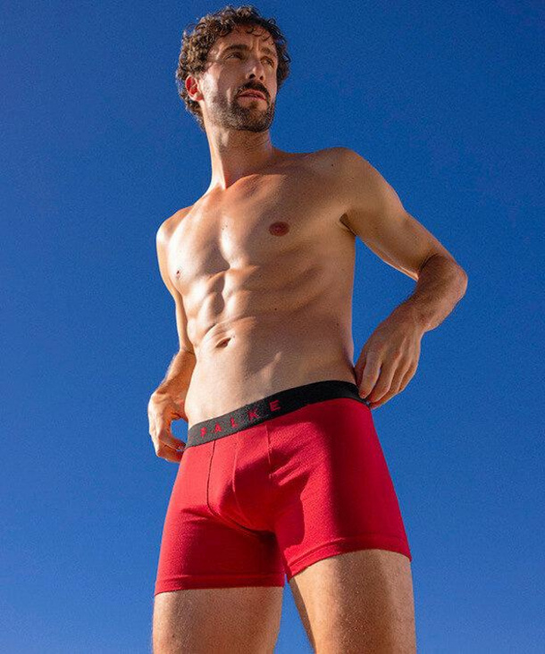 2-Pack Men Boxer Daily Comfort (Multicolored) FALKE