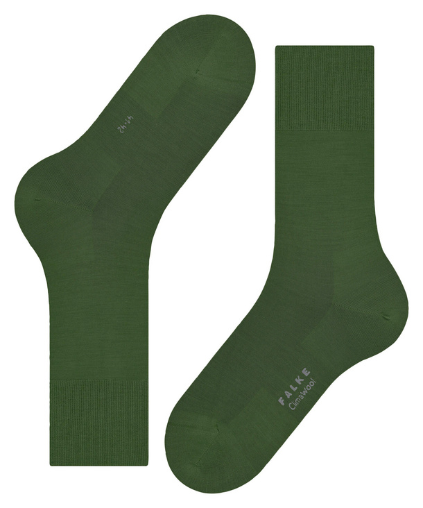 ClimaWool Men Socks (Green)