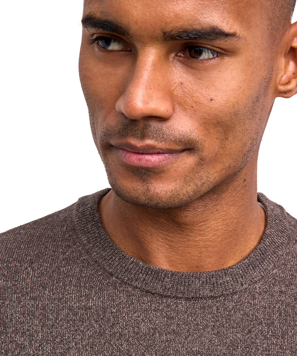 Men Pullover (Brown)