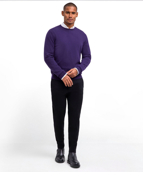 Pure Cashmere Men Pullover (Purple) FALKE