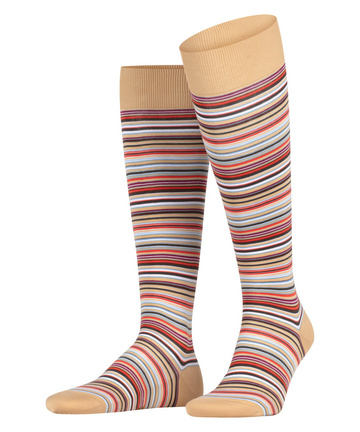 FALKE Men's Tinted Stripe Calf Socks